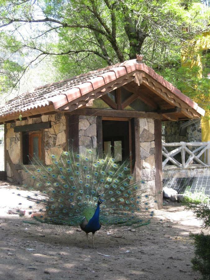 Hotel Rural Los Frutales Cercedilla Luaran gambar